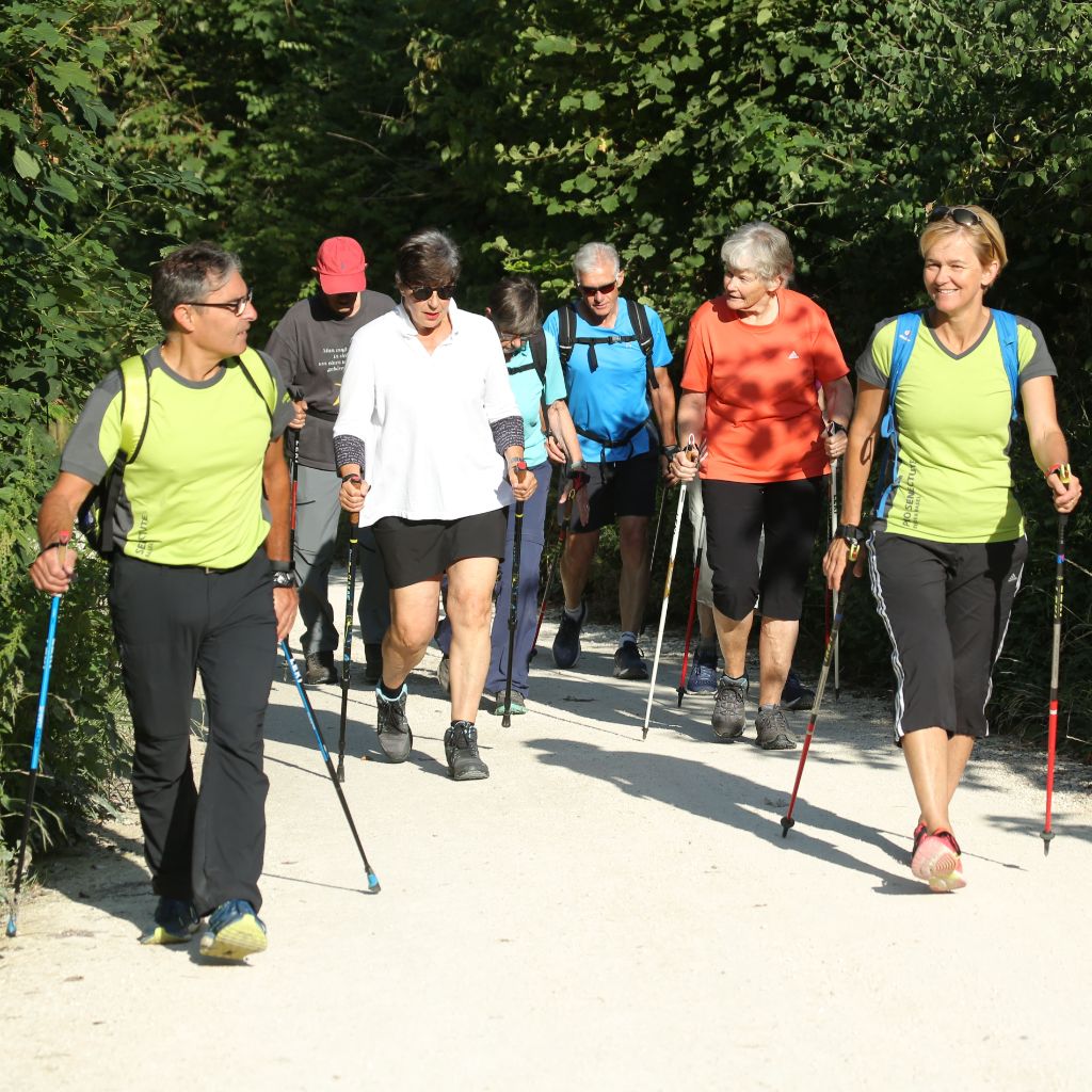 Der Kurs Nordic Walking befindet sich auf einem breiten, sonnigen Waldweg.