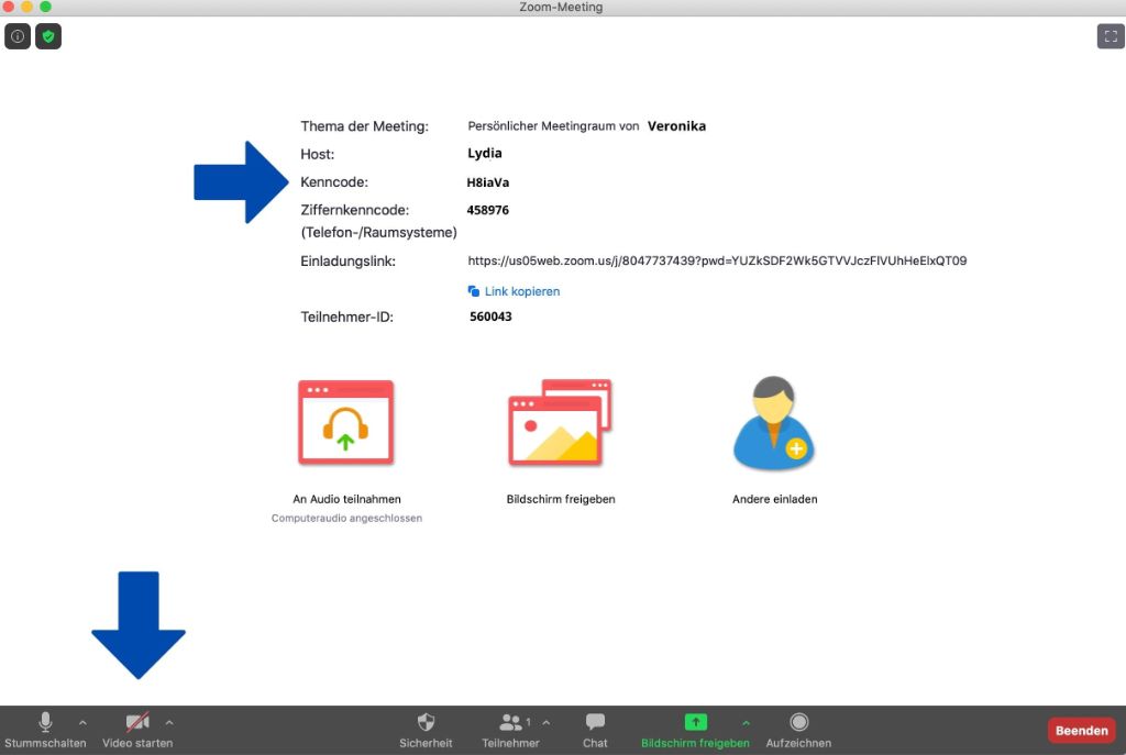 Screenshot eines Zoom Meetings.