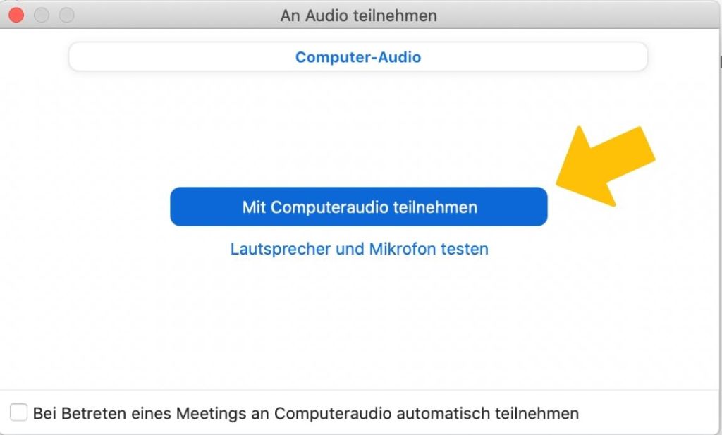 Screenshot mit Anleitung zu Zoom und Audiofunktion.